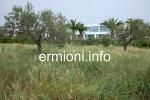 GL 0198 - Coastal Land - Dardiza - Ermioni